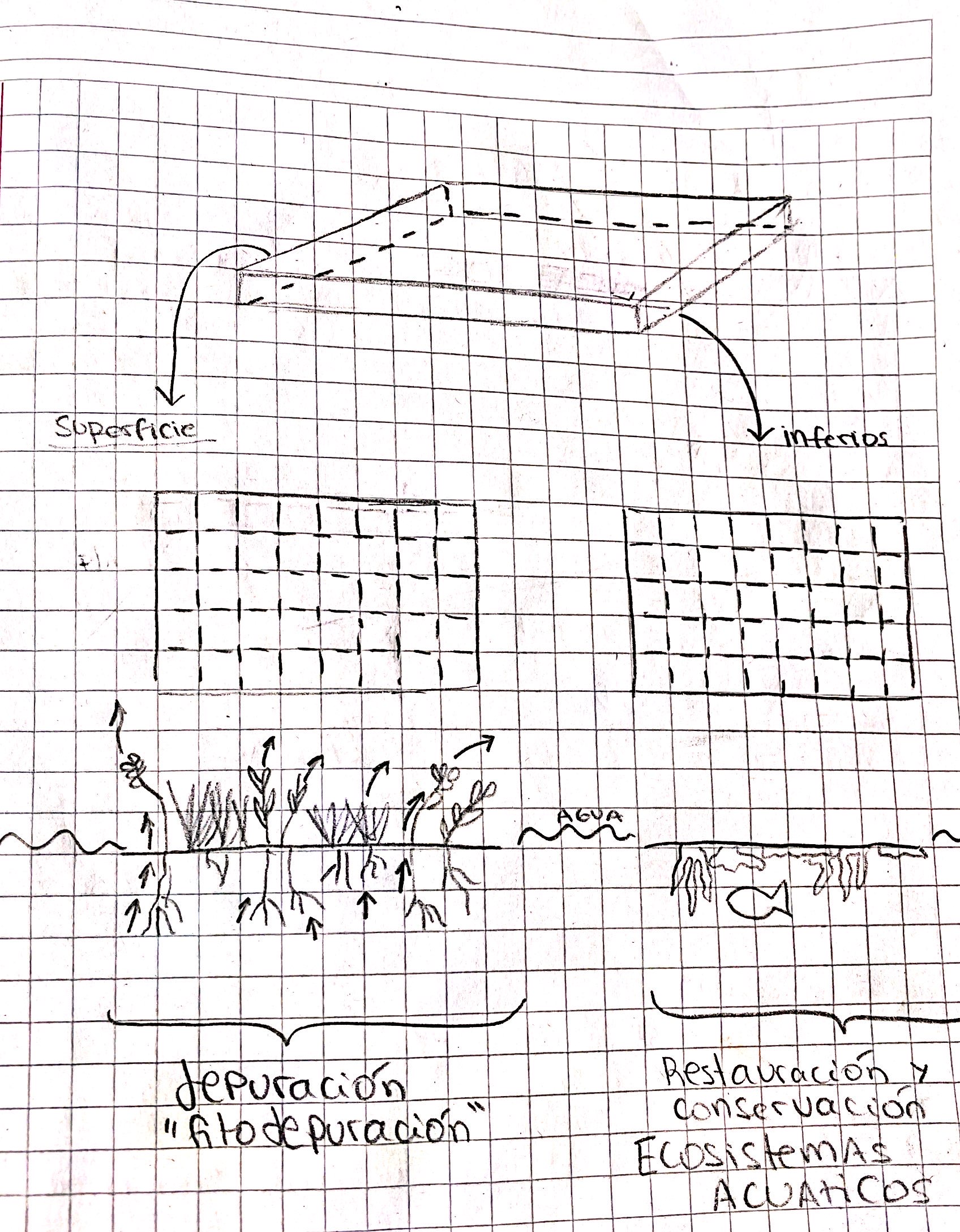 imagen esquema 3